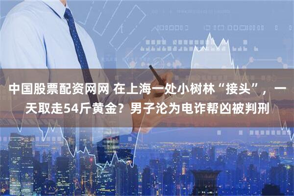 中国股票配资网网 在上海一处小树林“接头”，一天取走54斤黄金？男子沦为电诈帮凶被判刑