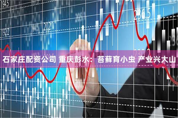 石家庄配资公司 重庆彭水：苔藓育小虫 产业兴大山